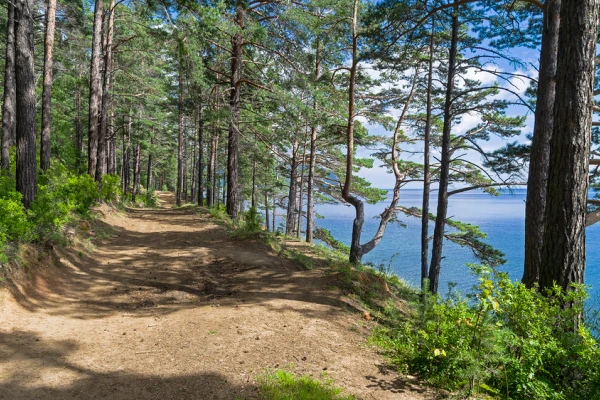 Иркутская область, грунтовая дорога у поселка Большие Коты