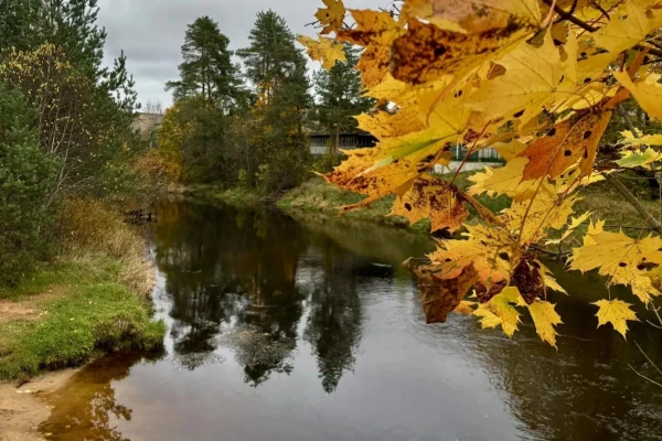 Река Оредеж