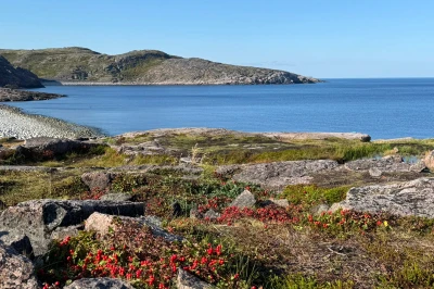 Курск минеткасы