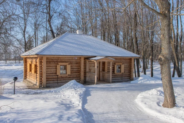 Новый год и Рождество в дворянской усадьбе Пушкиных фото