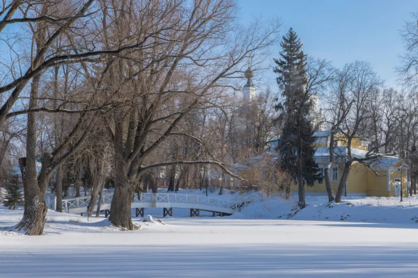Новый год и Рождество в дворянской усадьбе Пушкиных фото