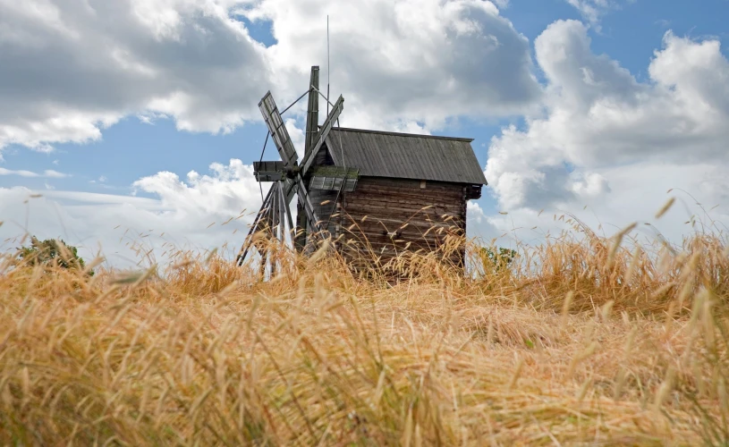 Сельский пейзаж, мельница и ржаное поле